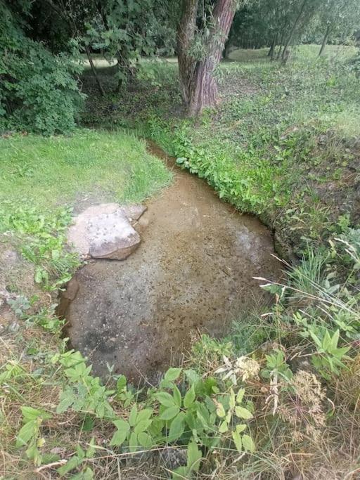 Roztocze Na Koncu Drogi Lubycza Krolewska