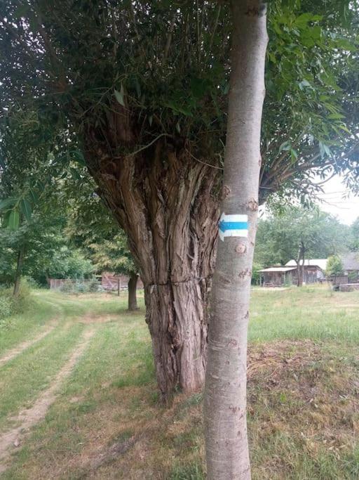 Roztocze Na Koncu Drogi Lubycza Krolewska