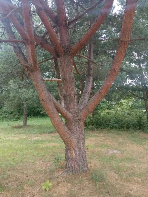 Roztocze Na Koncu Drogi Holiday home