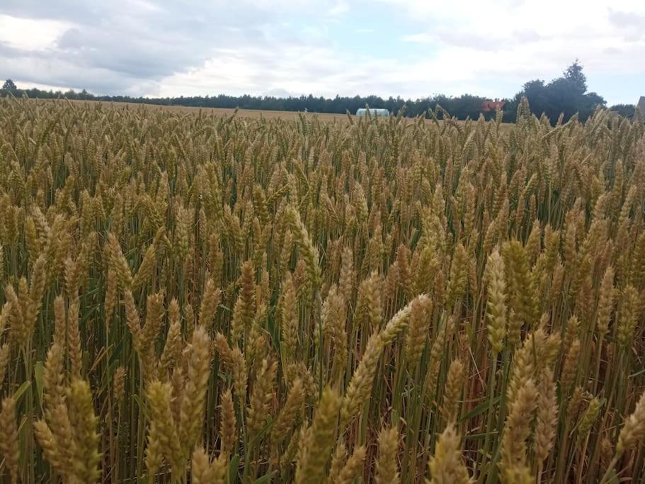 Roztocze Na Koncu Drogi Lubycza Krolewska